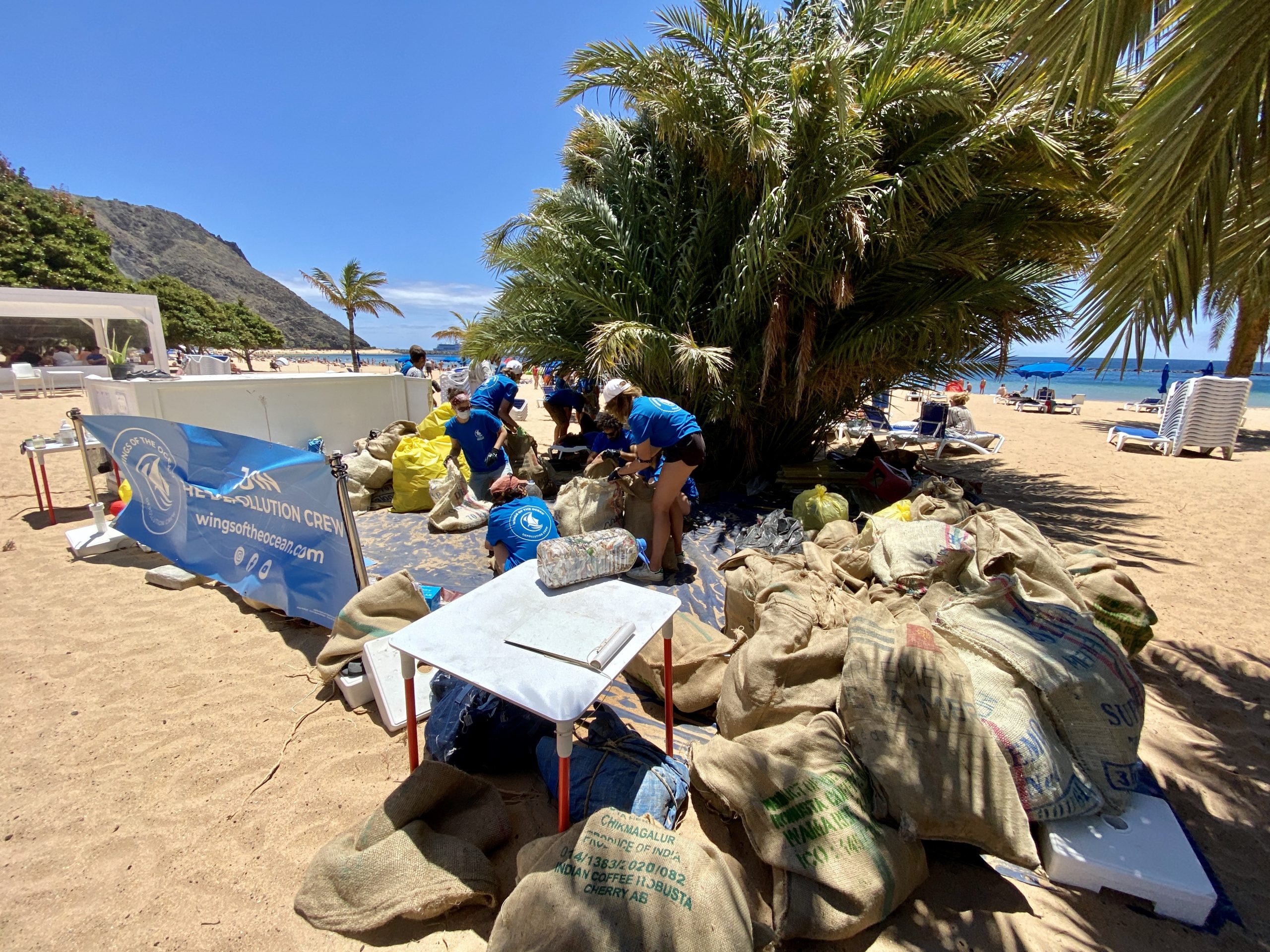 Beach clean up Las Terasitas
